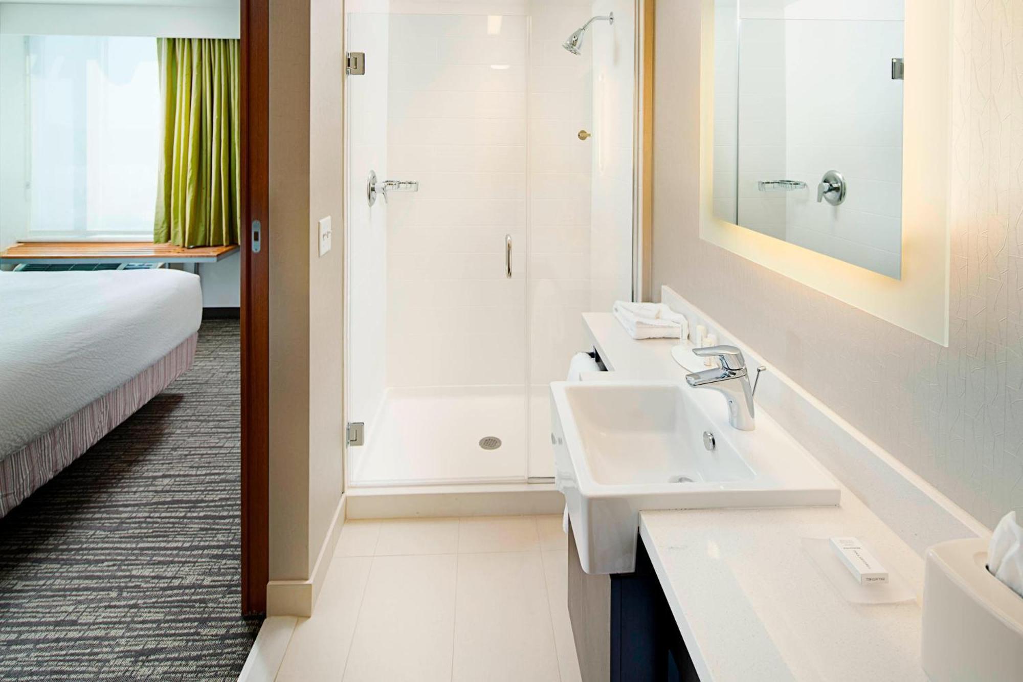 Springhill Suites By Marriott Carle Place Garden City Екстер'єр фото