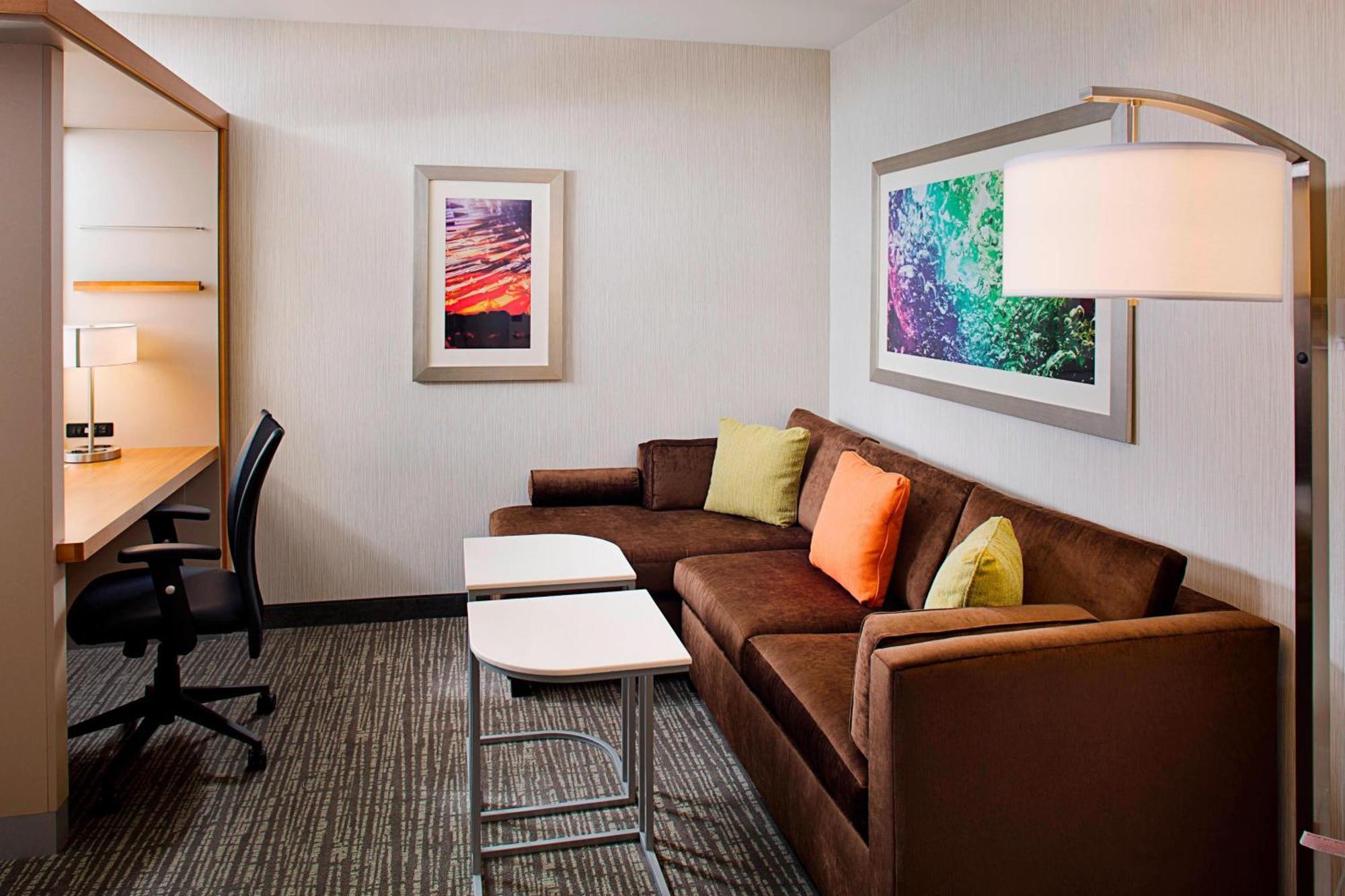 Springhill Suites By Marriott Carle Place Garden City Екстер'єр фото